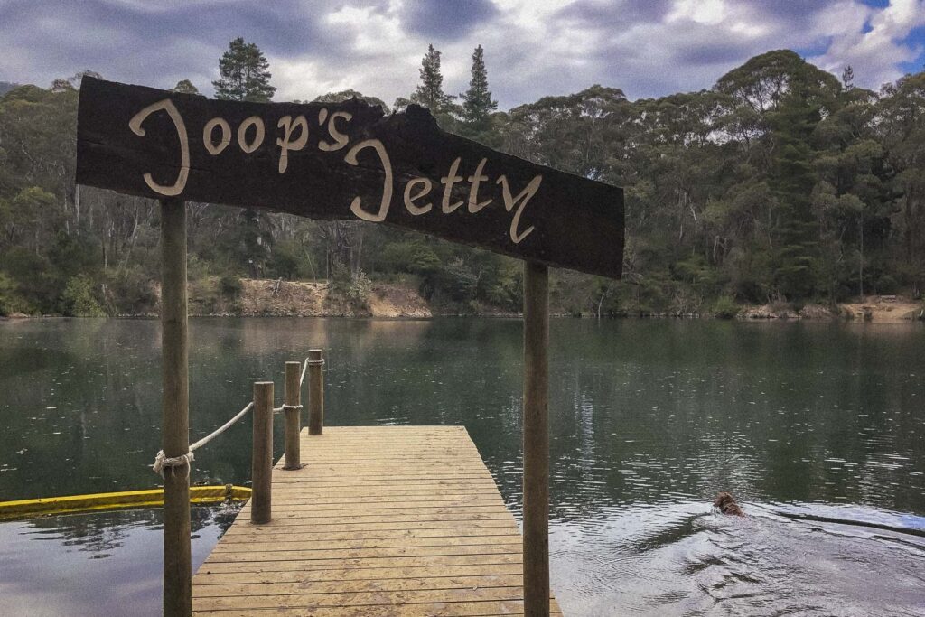 Camping-with-dogs-in-harrietville