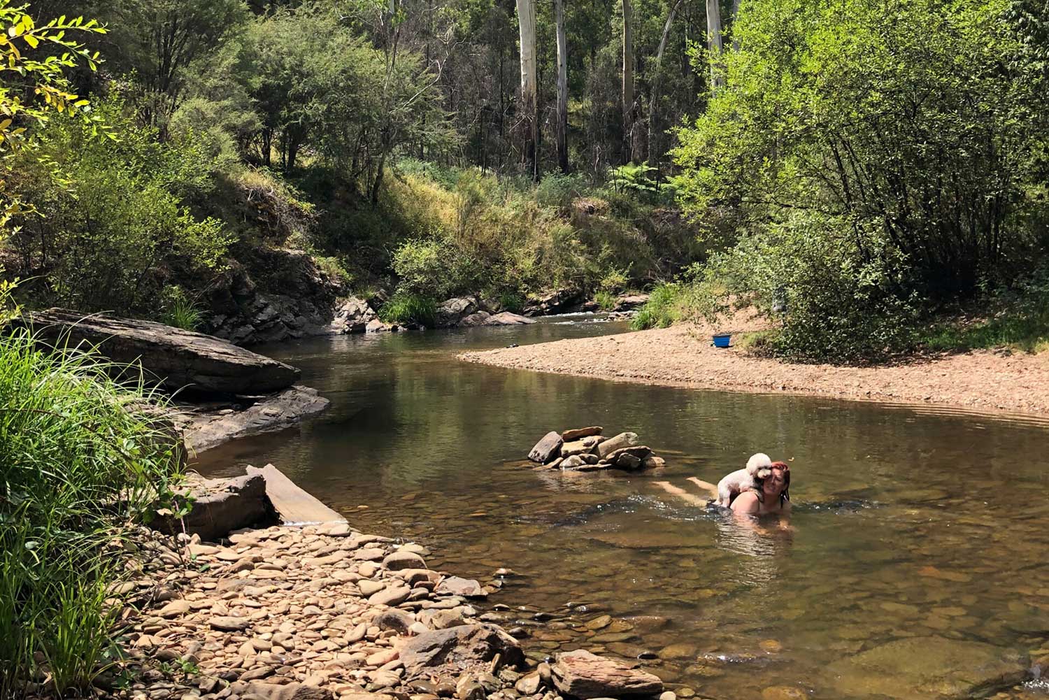 She Walks, Camping with dogs in Victoria