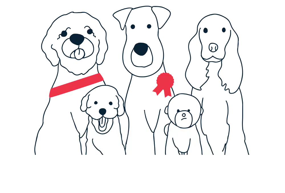 She Grooms Melbourne - Brunswick dog grooming