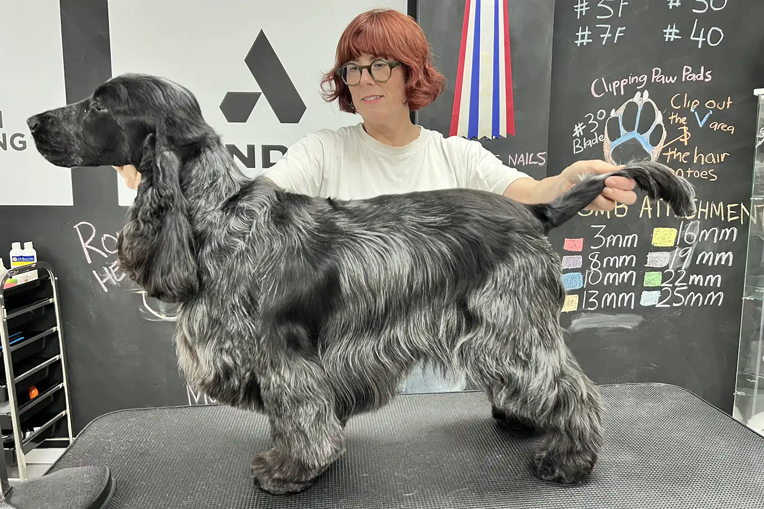 She Grooms Melbourne - Dog grooming competitions